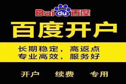 行业领先的SEM优化案例：提升品牌曝光率